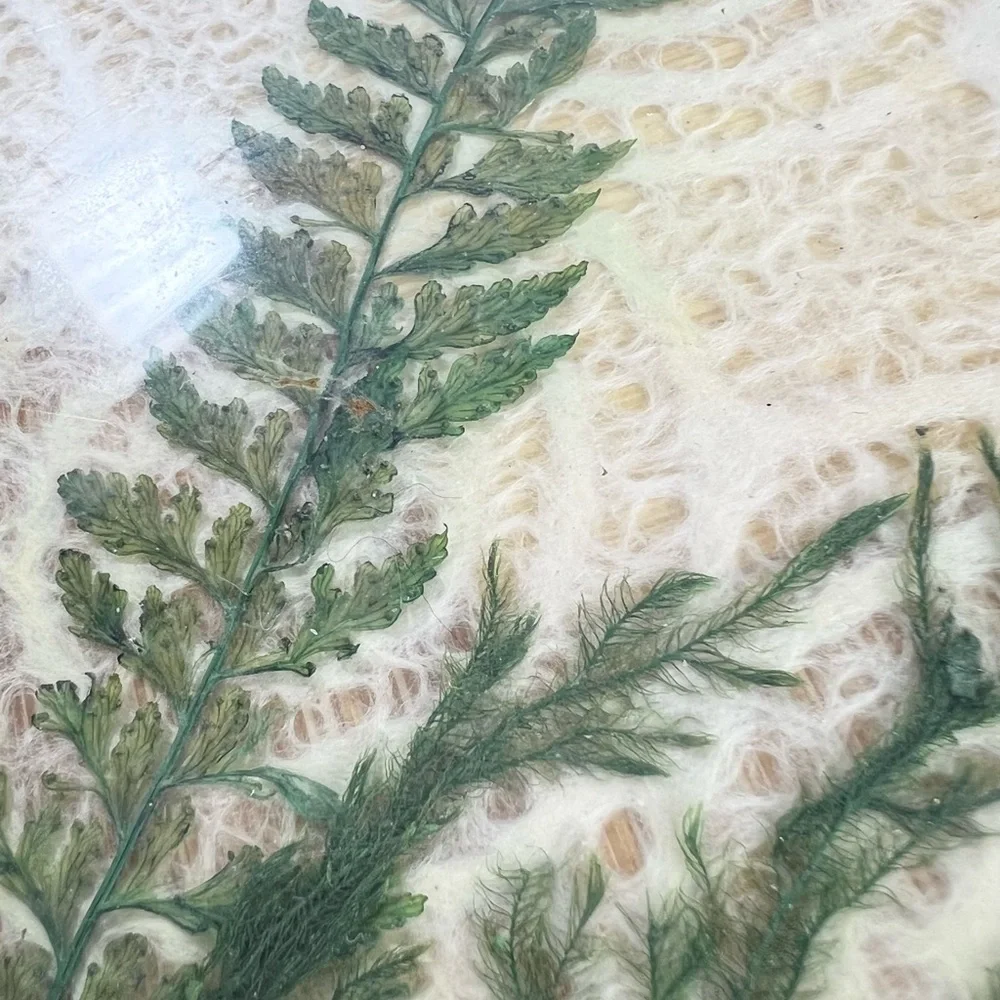Vintage Round Pressed Butterfly Bar‎ Tray & Coaster Set Bamboo fern leaf retro